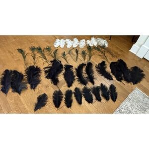 40 Pc Feather Lot Black White Peacock Millinery Crafts Costume Decor